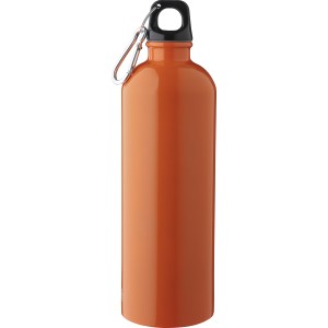 Recycled stainless steel single walled bottle (750 ml ) Emer