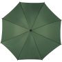 Classic nylon umbrella, green
