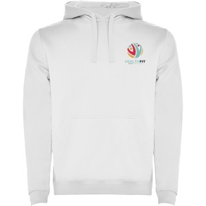 Urban men's hoodie, White (Pullovers)