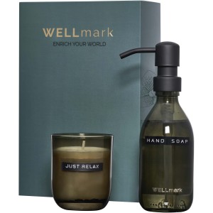 Wellmark Discovery 250 ml hand soap dispenser and 150 g scen